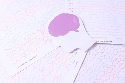 Preview: Brain paper cutout on background of brain waves from electroencephalography.