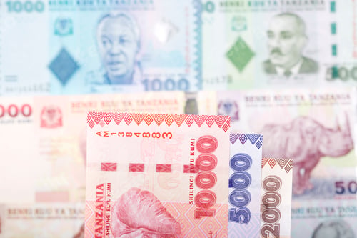 Preview: Tanzanian Shilling Banknotes with Portraits and Wildlife