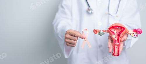 Preview: Doctor holding Peach ribbon with Uterus and Ovaries model for September Uterine Cancer Awareness
