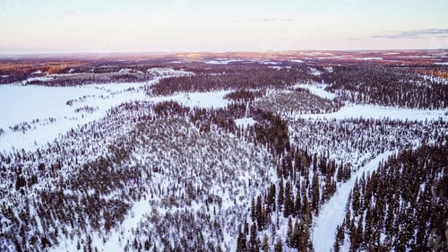 Preview: Aerial view of the lake and forest on a cold winter day sunrise