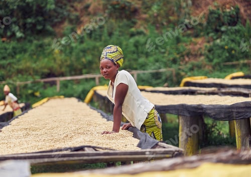 Preview: Smiling female worker standing near drying tabels at coffee washing station