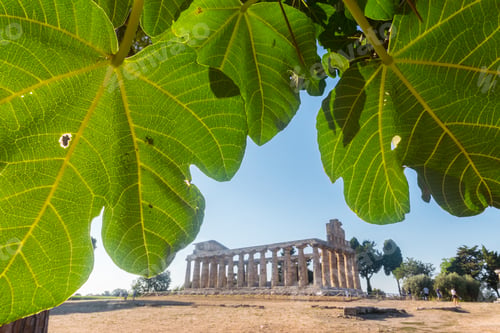 Preview: View of the Temple of Athena in Paestum, Italy.