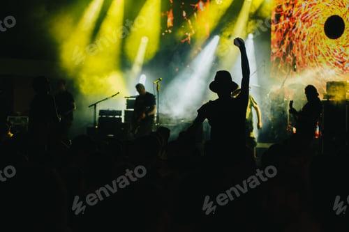 Preview: Man in a concert audience having fun on a music festival
