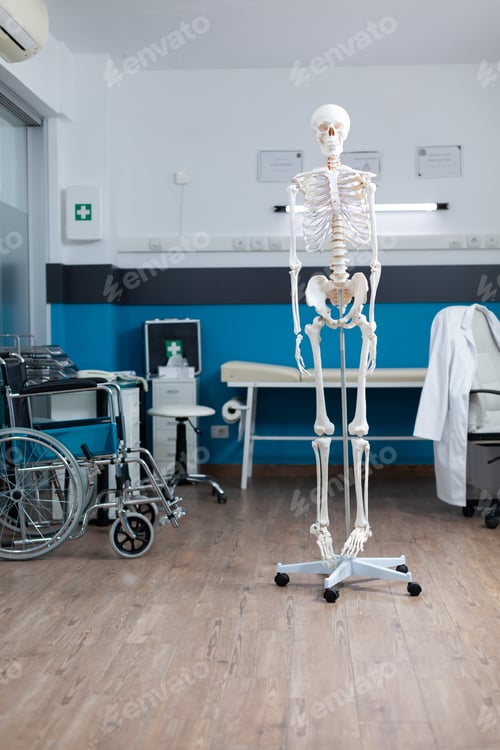 Preview: Front view of human body skeleton standing in empty doctor office