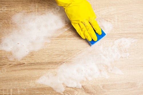 Preview: Employee using sponge for cleaning wood table