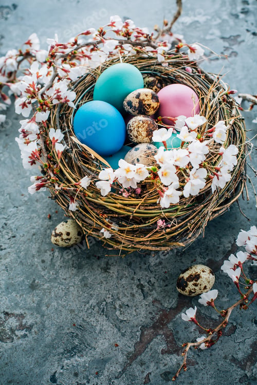 Preview: Colorful Easter eggs in a nest with flowering branch