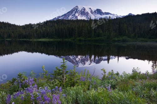 Preview: Mount Rainier, a snowcapped peak in Washington, USA