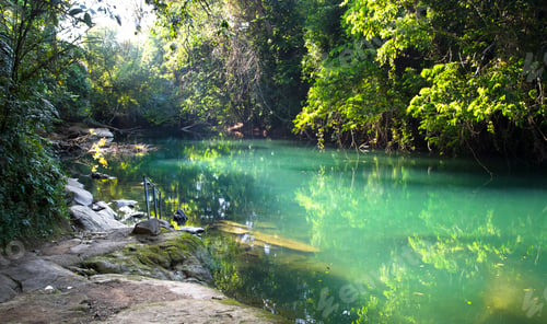 Preview: Rio Grande and Dense Jungle in Belize