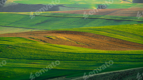 Preview: Landscape of plowed cultivated agricultural fields