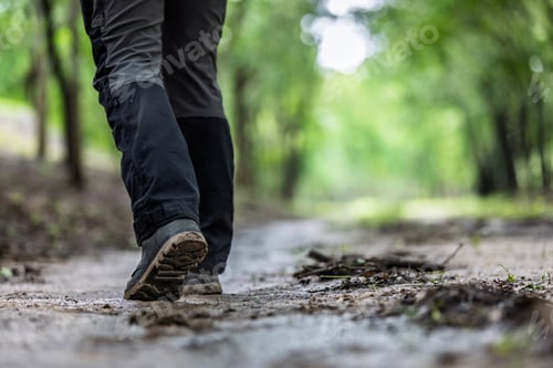 Preview: Hiker Walking Through Forest Trail