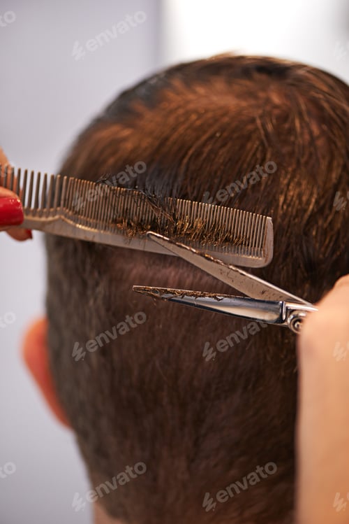 Preview: Expert grooming