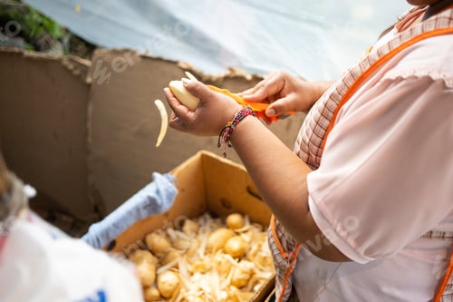 Preview: Detail of woman's hands peeling raw potatoes