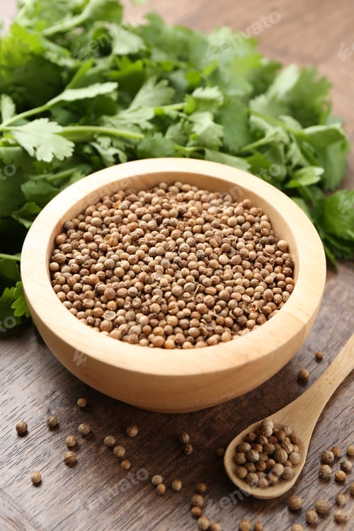 Preview: Fresh cilantro and coriander seeds on wooden table, closeup