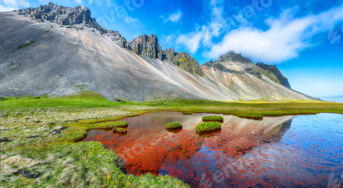 Preview: Amazing sunny day and gorgeous meadow near Vestrahorn mountaine on Stokksnes cape in Iceland.