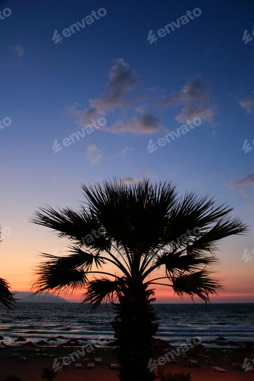 Preview: Isolated palm tree with the sunset at the ocean behind