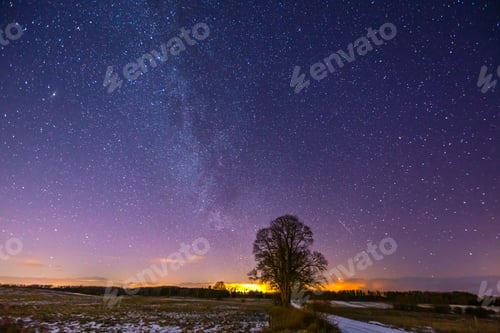 Preview: Landscape of Milky Way galaxy, stars and a tree