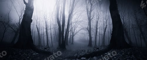 Preview: forest at night, dark fantasy halloween background