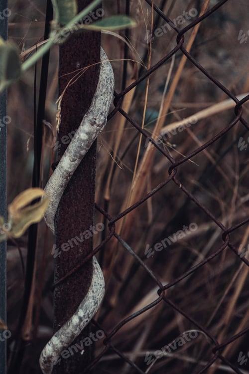 Preview: Moody nature background of a fence covering by nature
