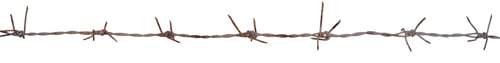Preview: Old barbed wire stretched in a straight line isolated on a white background