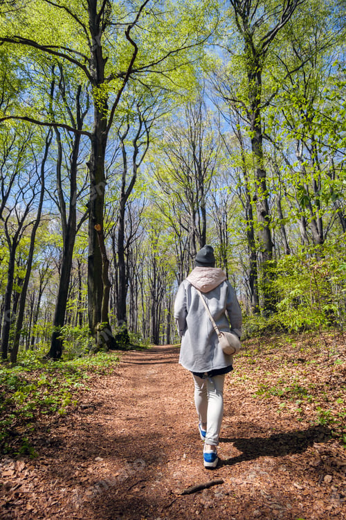 Preview: Young woman walking alone in early spring forest