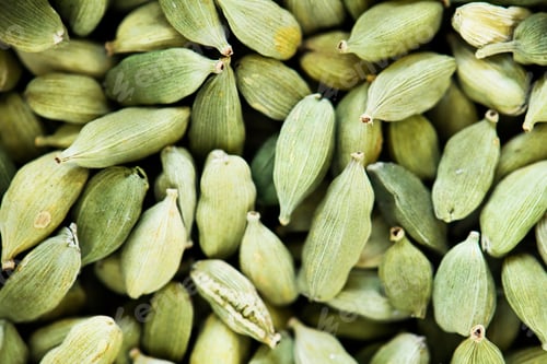 Preview: Close up of pumpkin seeds