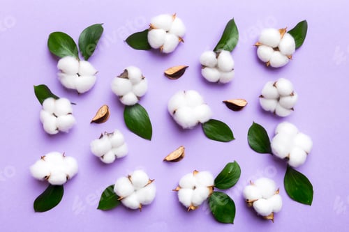 Preview: Autumn Floral Flat lay background composition. Dried white fluffy cotton flower branch