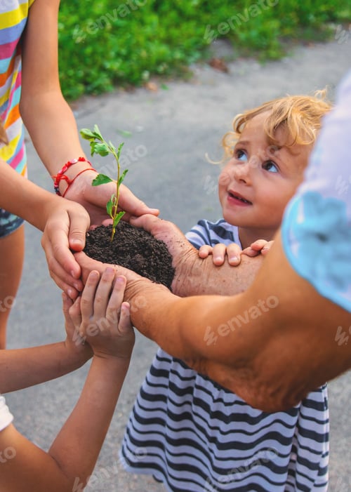 Preview: Grandmother and child hold a tree sprout in their hands. Selective focus.