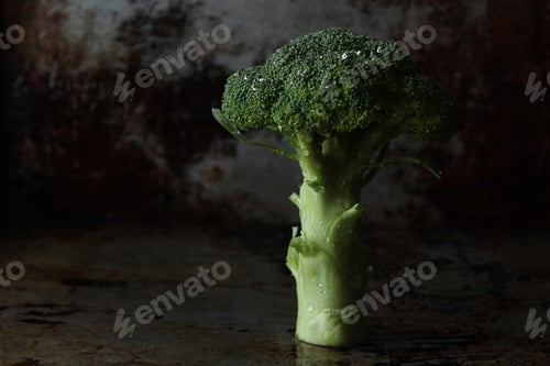 Preview: Dark scene broccoli stalk