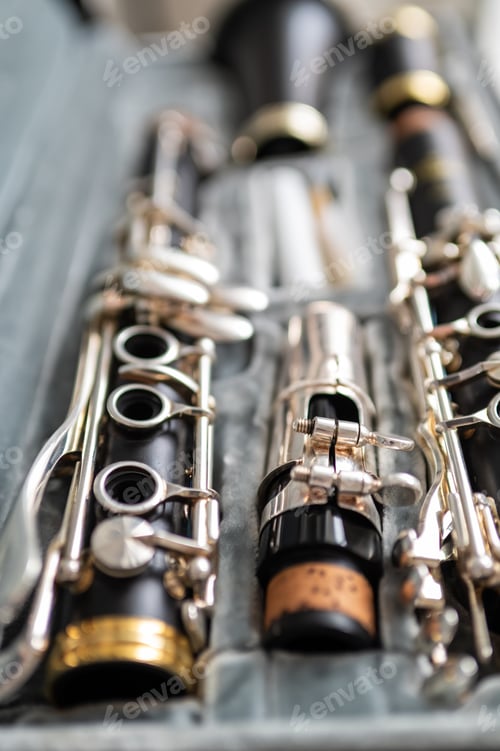 Preview: A black clarinet rests in an open case with a plush interior.