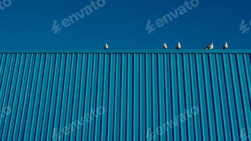Preview: Group of seagulls perched on a textured building roof against the blue sky