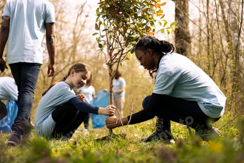 Preview: Two diverse girls working together to plant more seedlings and greenery