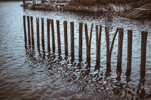 Preview: Wooden posts in water