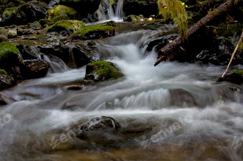 Preview: Elk Creek in late winter