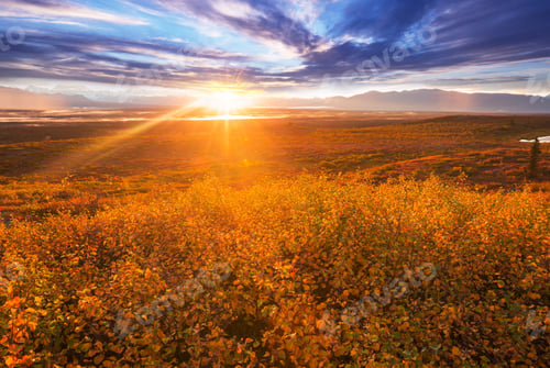 Preview: Autumn in Alaska