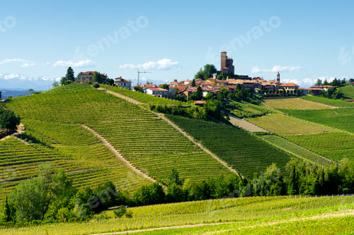 Preview: Vineyards of Langhe, Piedmont, Italy near Alba at May