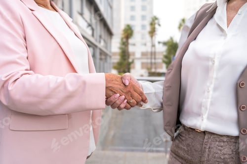 Preview: Close up of professional women sealing corporate agreement with handshake