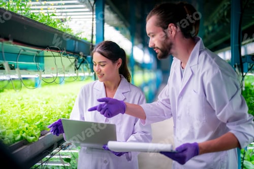 Preview: Inside of Greenhouse Hydroponic Vertical Farm Eco system.
