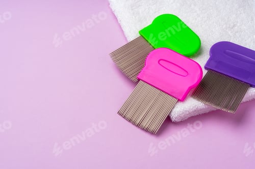 Preview: Three combs for removing lice and nits on lilac background