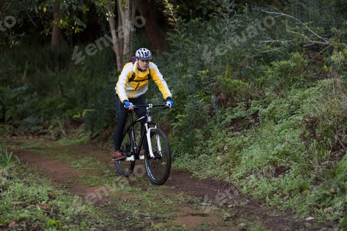 Preview: Male cyclist pedaling mossy forest trail wearing yellow jacket with mountain bike and red backpack