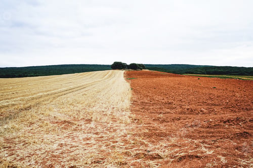 Preview: Agriculture field in Burgos after harvest