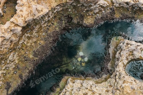 Preview: Texture background of natural rock with water and seashells.