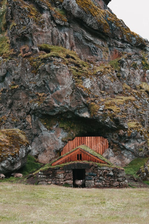 Preview: sheep standing in entering to stone and wooden building near spectacular rock in iceland