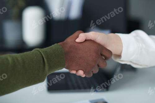 Preview: Business people shaking hands at meeting