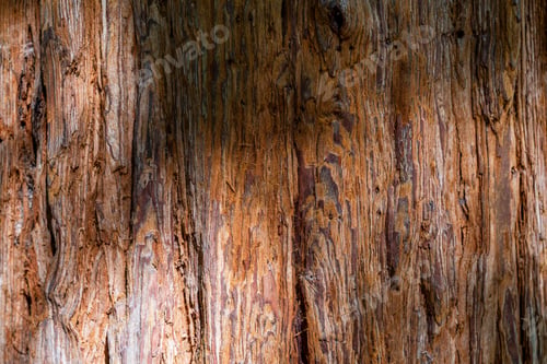 Preview: Panoramic photo relief texture of dry tree bark. Brown bark background.