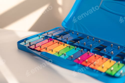 Colorful Xylophone Toy in Open Blue Case