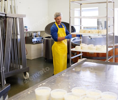 Preview: Handsome cheesemaker making curd cheese in his factory.