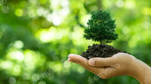 Preview: Hand holding tree growing on green background.Plant growth, and environmental protection concept.