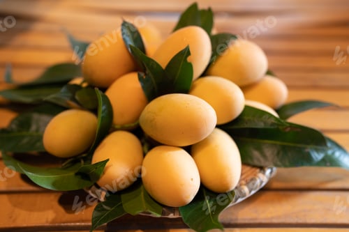 Preview: Thai Plango fruit or Boueaburmanica Griff, Tropical fruit calling Ma Yong Chid in orchard