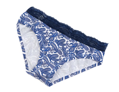 Preview: Blue and White Paisley Patterned Lingerie on White