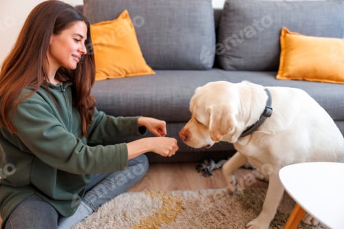 Preview: Woman having fun teaching dog tricks